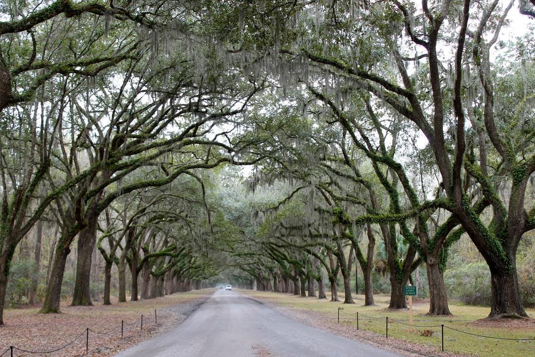 styleofsavannah.blogspot.com