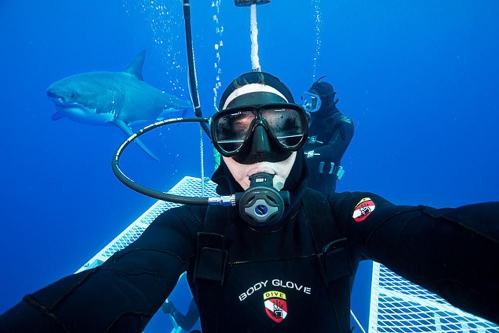 Photographer: David Fleetham