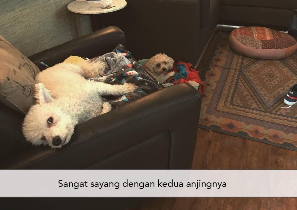 Foto: Via Instagram/ @grantgust