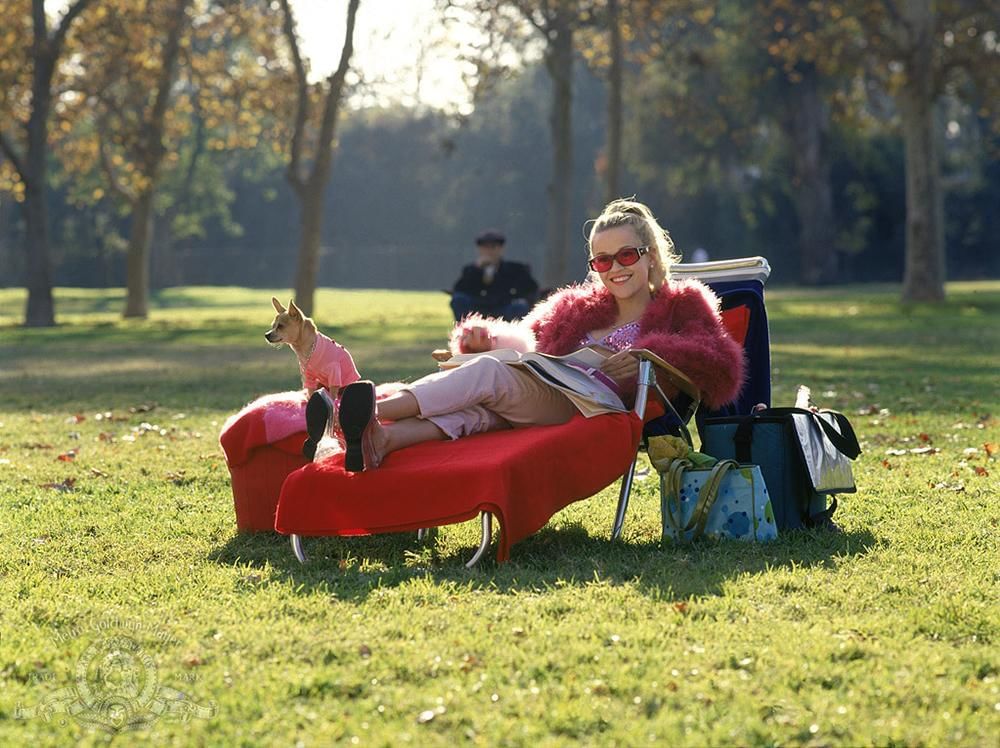 Legally Blonde Movie Scene