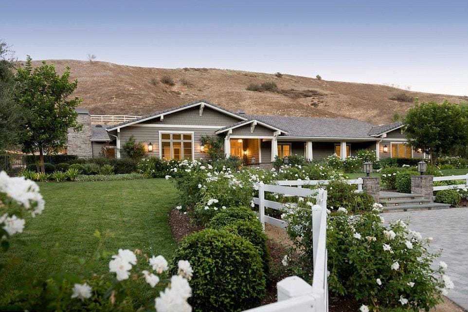 Credit: Crisnet via Dailymail