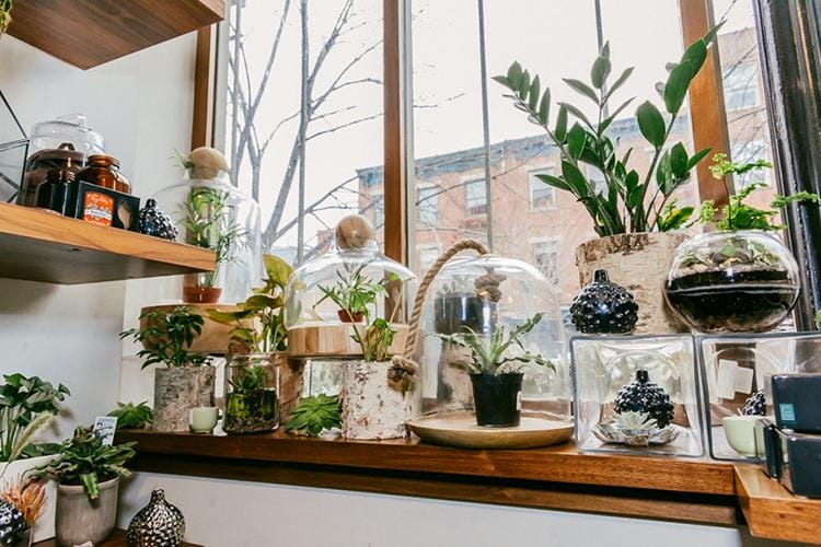 havenhillbaptistchurch.com