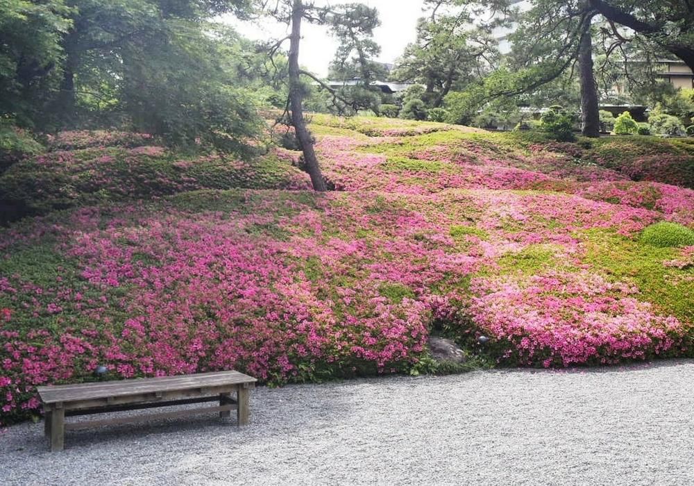 Dok. Popbela/ Grace Kelly