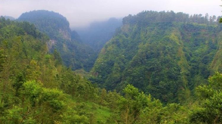 jogja.tribunnews.com