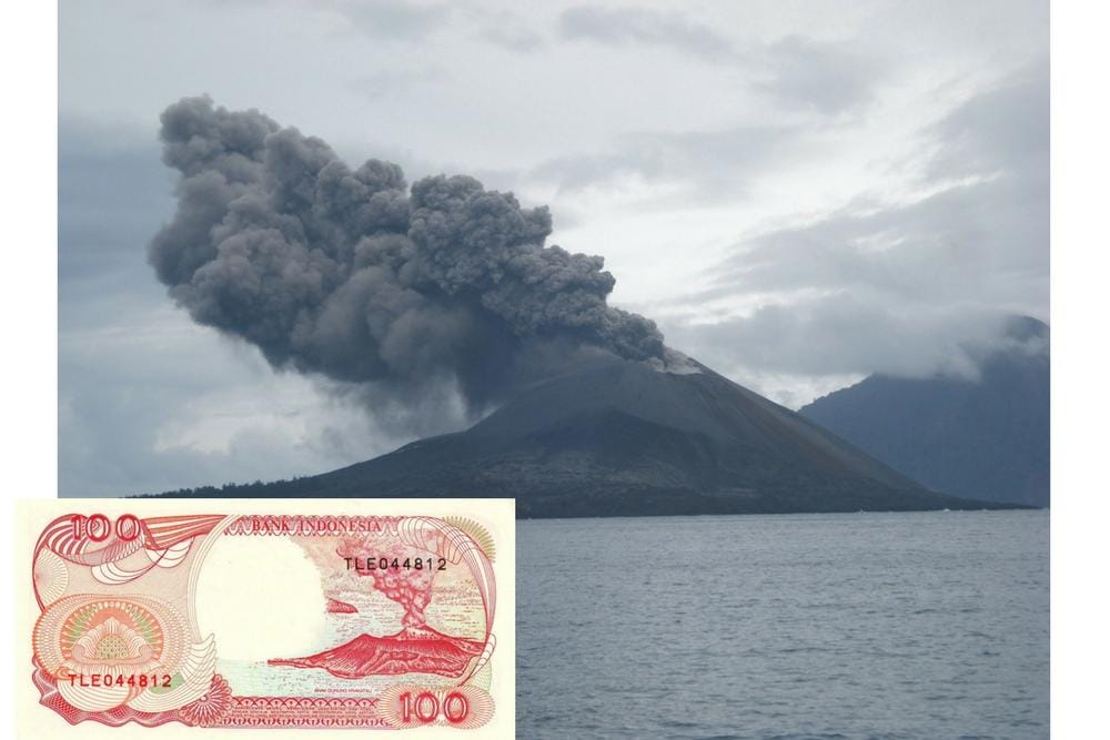 sterilthunder.wordpress.com