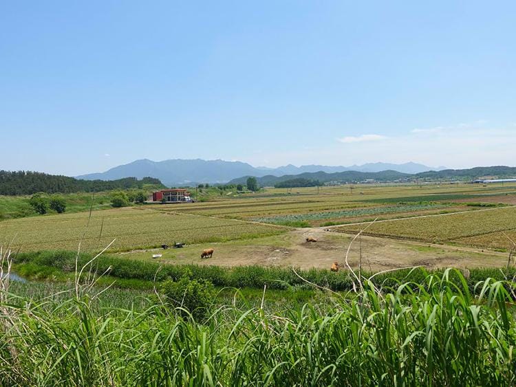 Photo credit: Jacob Laukaitis