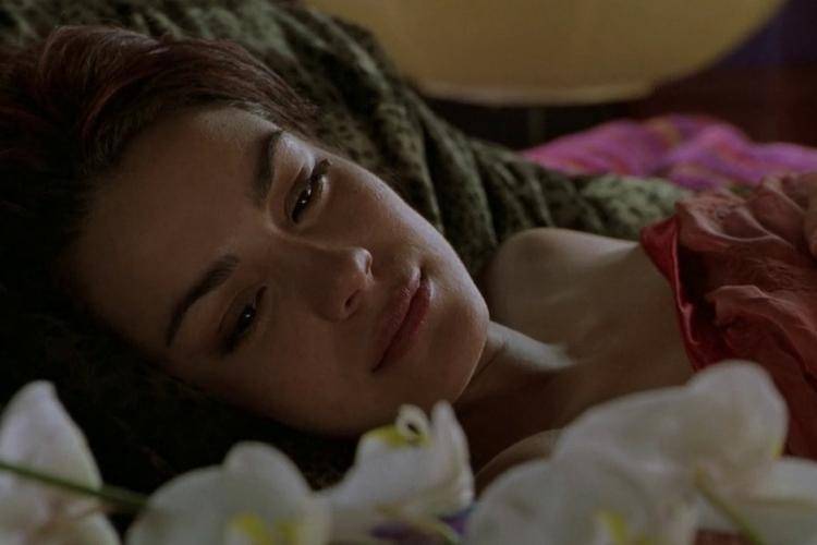 yify-movies.to