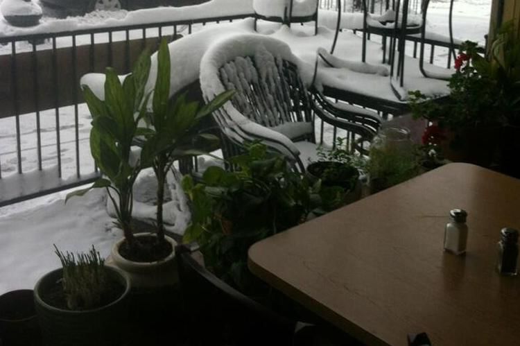 Twitter.com/samecafe