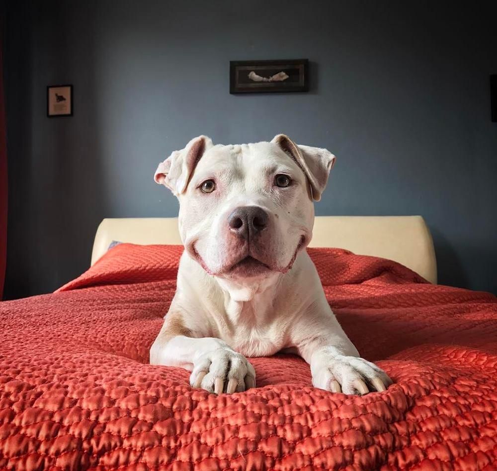 Instagram @smilingbrinks