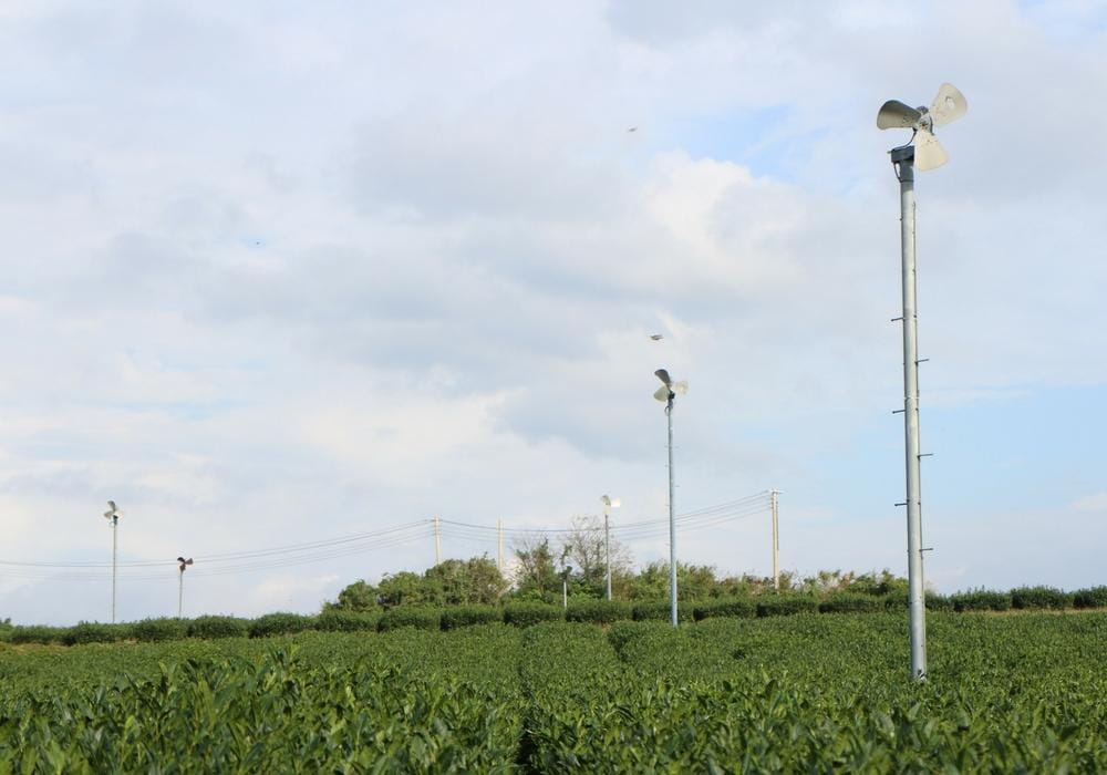 Dok. Popbela/Grace Kelly