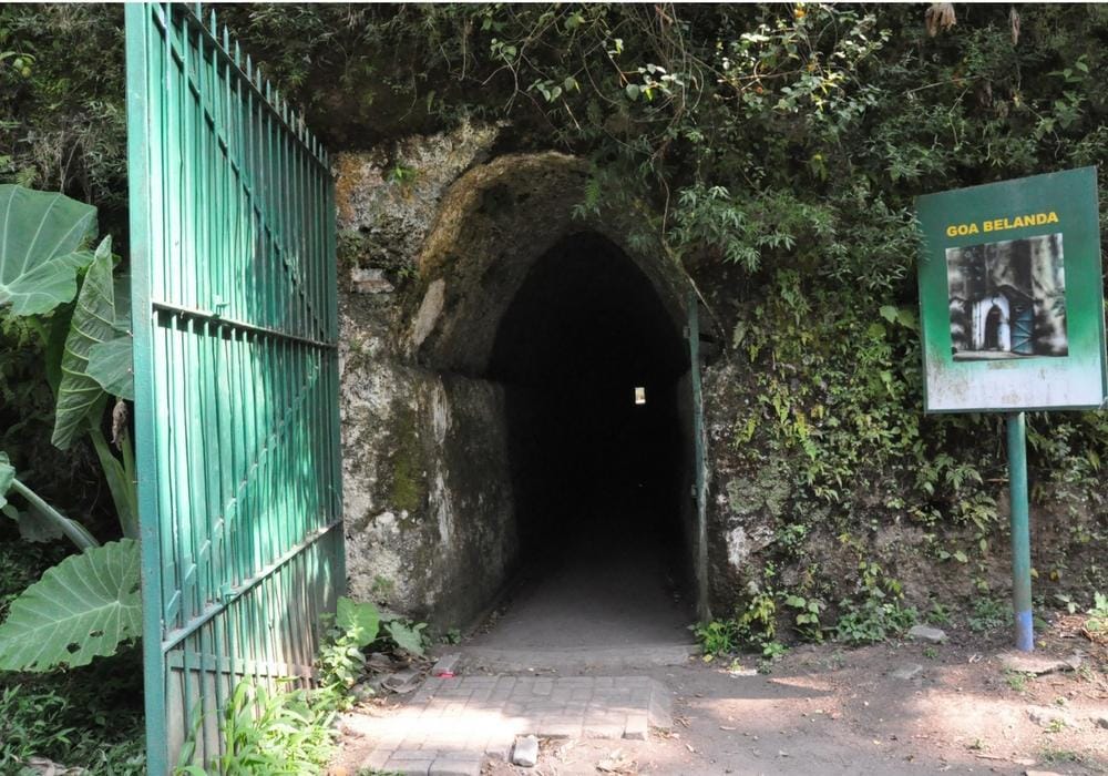 fourthdecember.wordpress.com