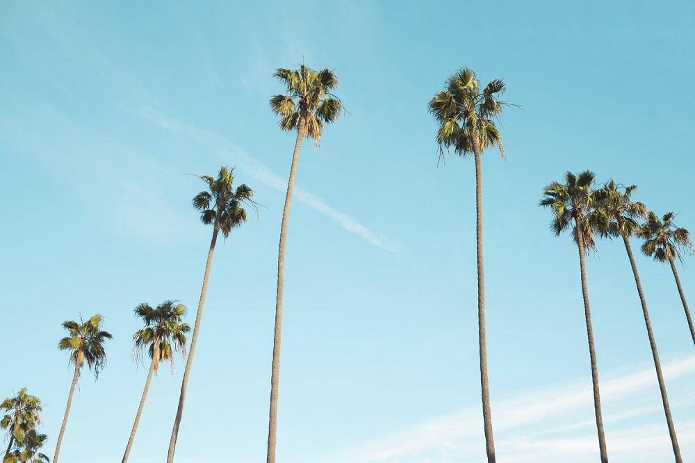 unsplash.com