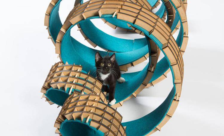 architectsforanimals.wordpress.com