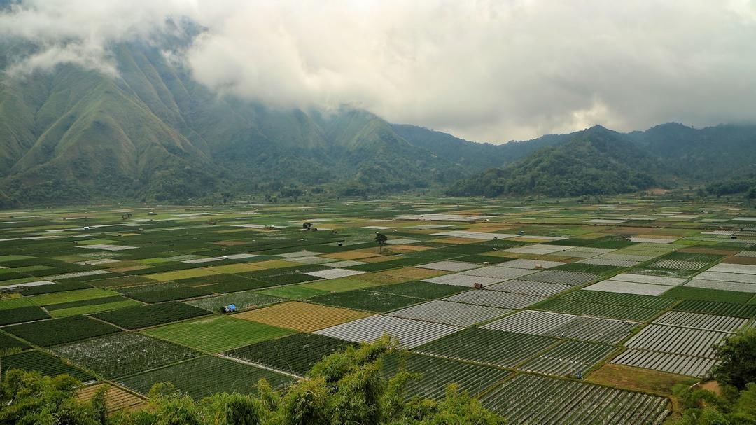 googleusercontent.com