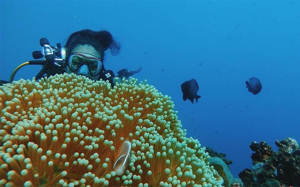 instagram.com/wulanrussell