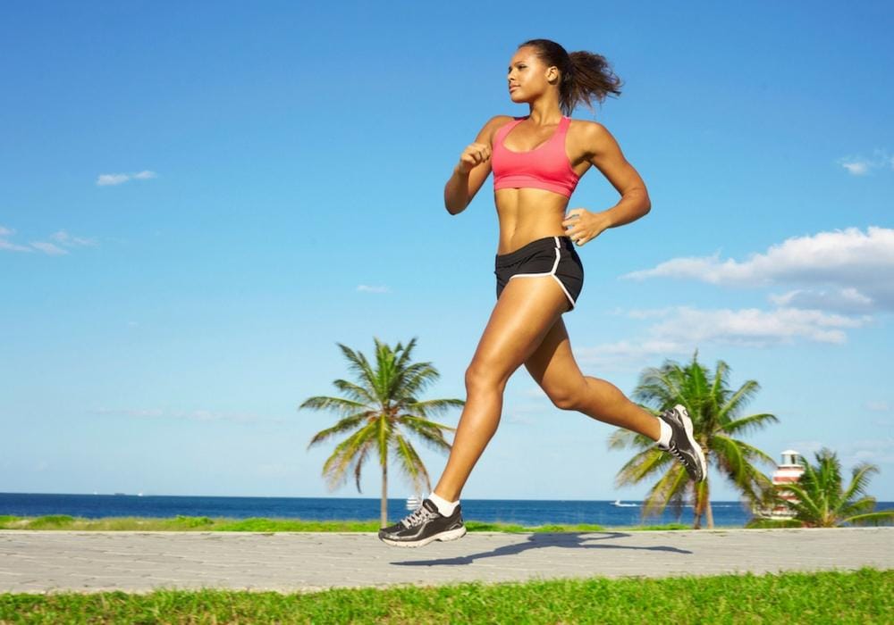 fitlandiafitness.com