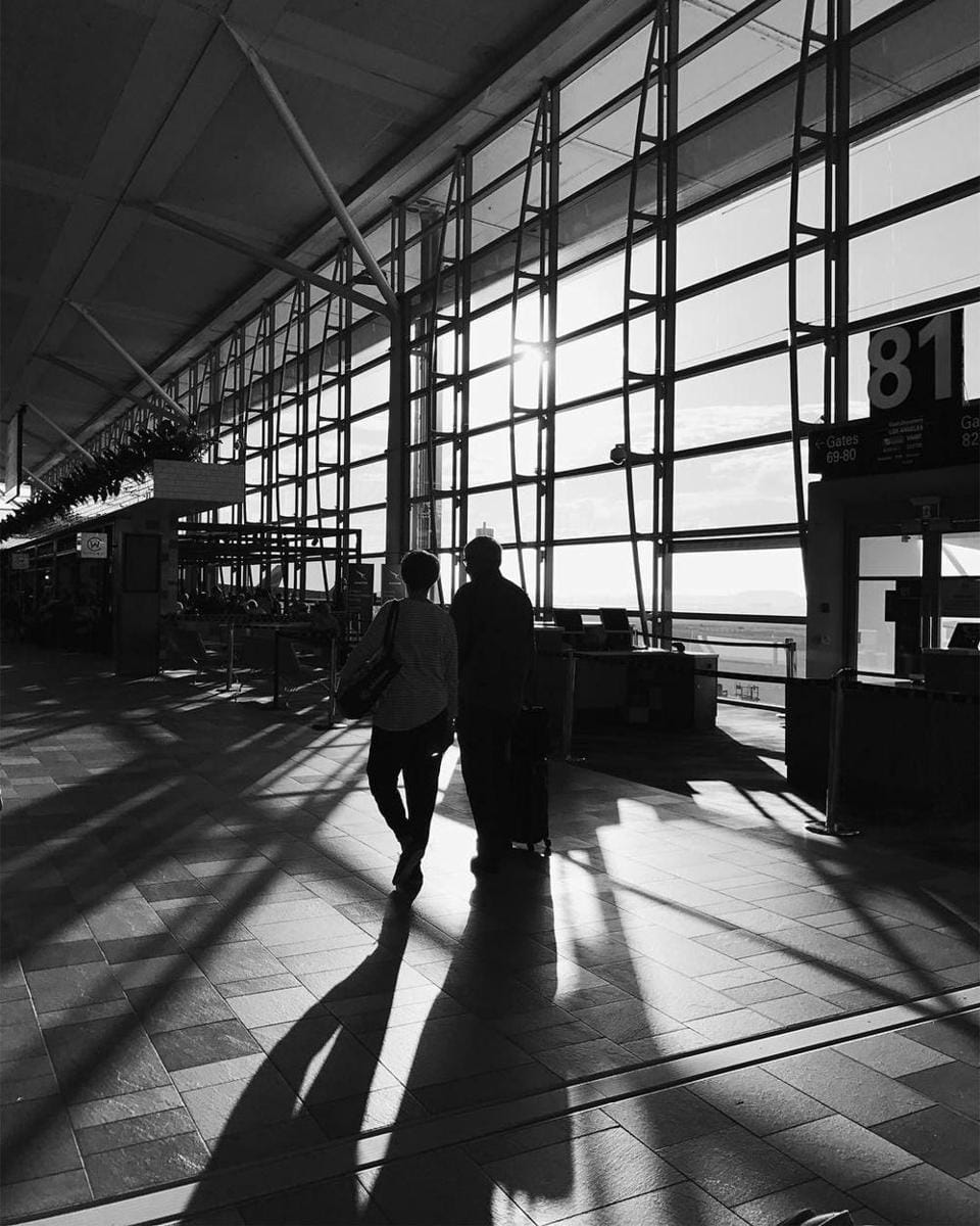 instagram.com/greyspolii