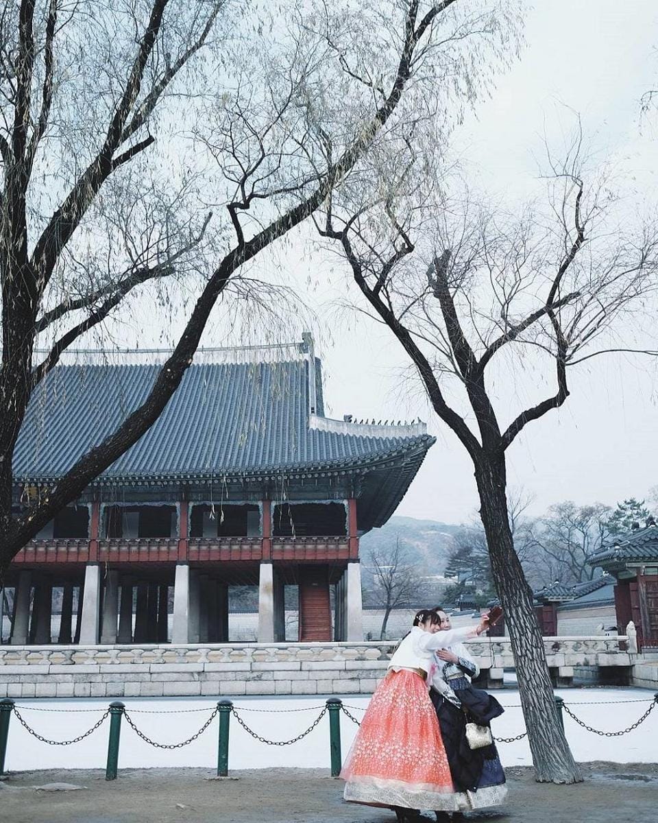 instagram.com/greyspolii