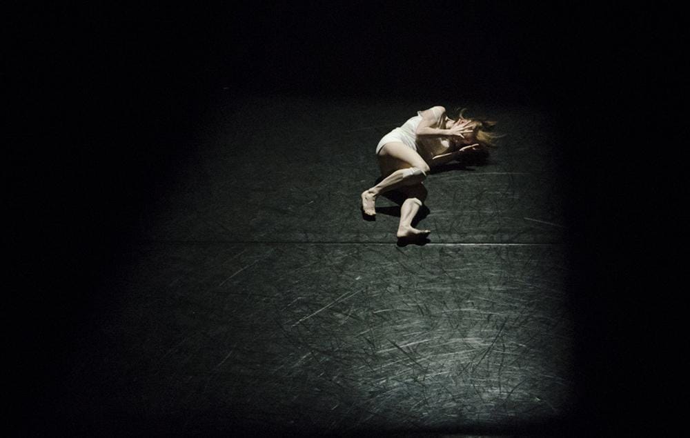 unsplash.com/Hailey Kean