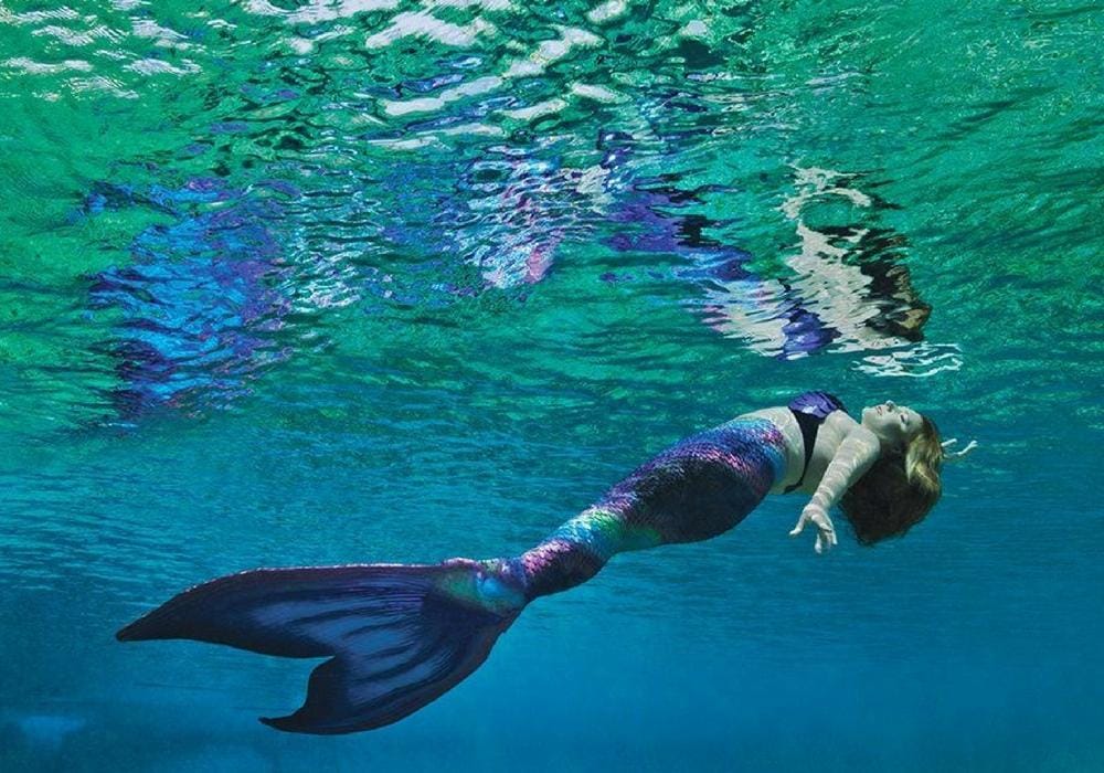 friendsofweekiwachee.com