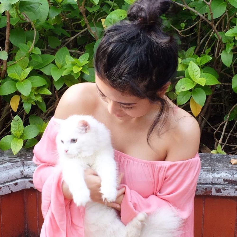 Instagram.com/deliaahusein