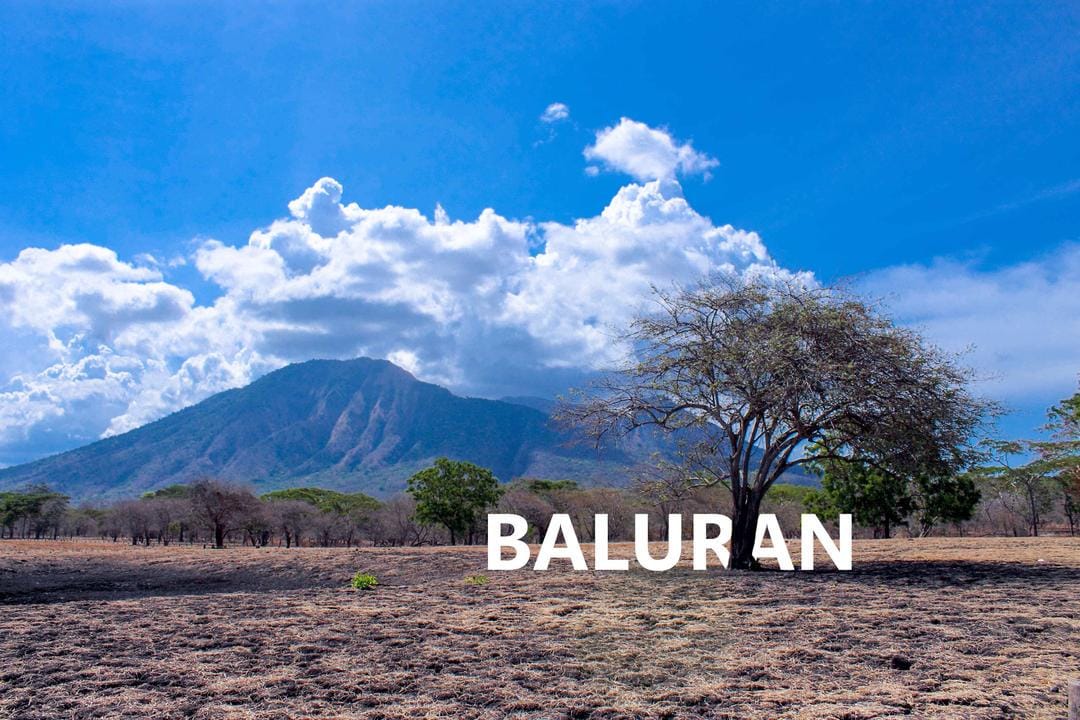 anggakris.wordpress.com