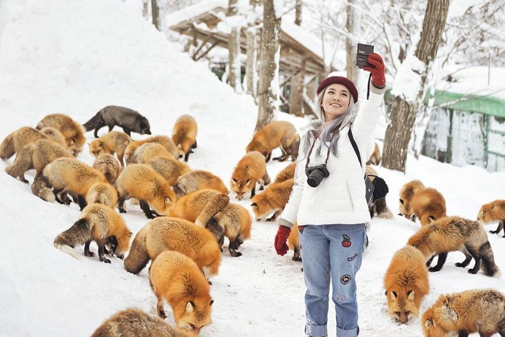 Instagram.com/marischkaprue