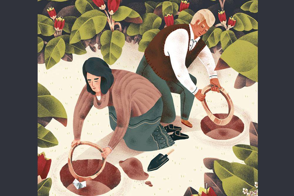 Behance.net/jeannie Phan