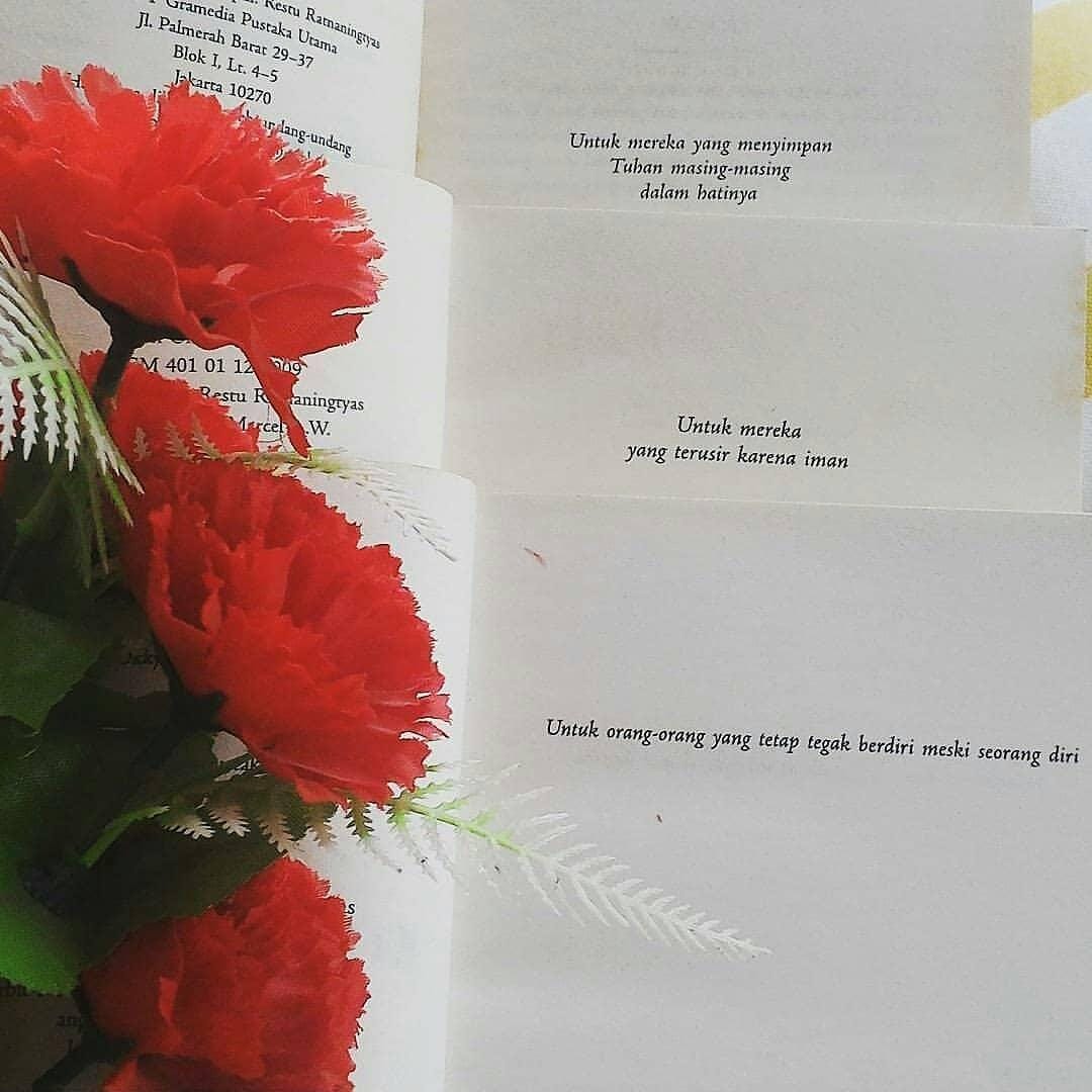 Instagram.com/Revinavt