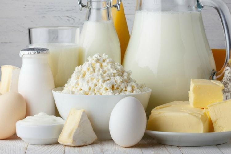 yogurtinnutrition.com