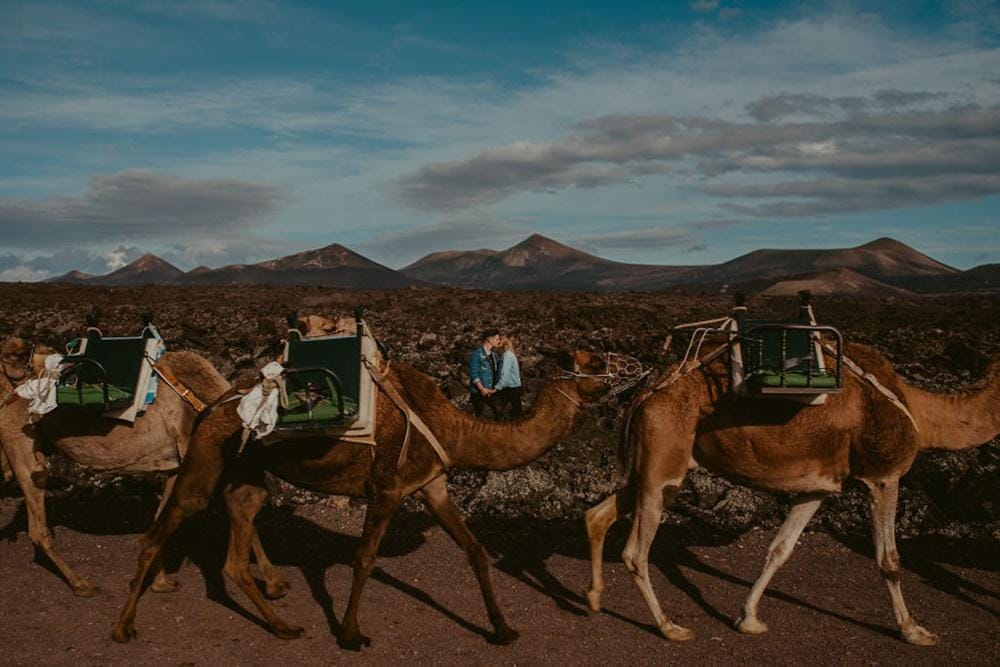 Boredpanda.com/Dallas and Sabrina