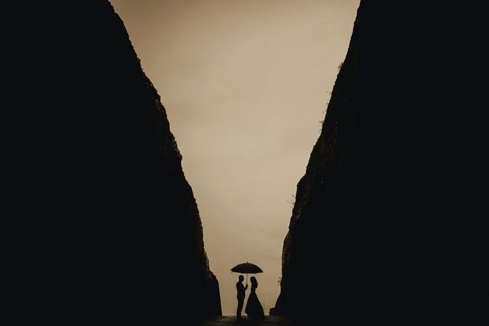 Boredpanda.com/Terralogical