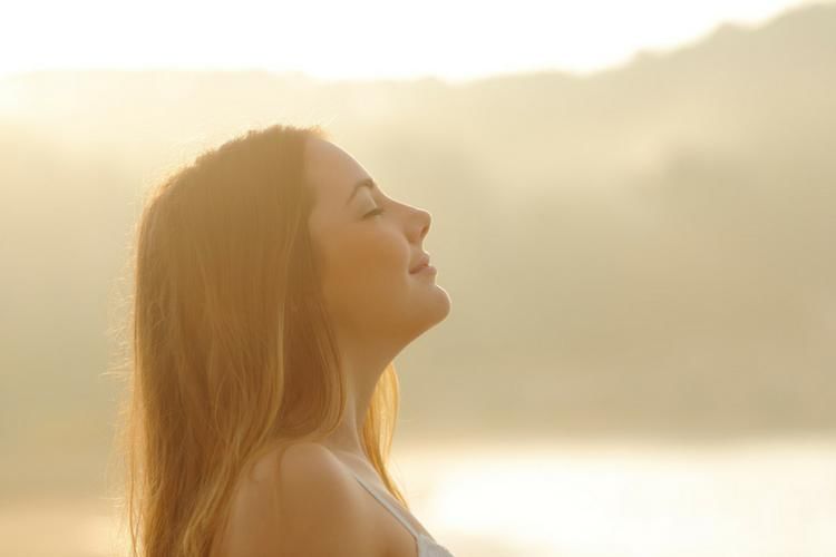 optputrevolutionary.com