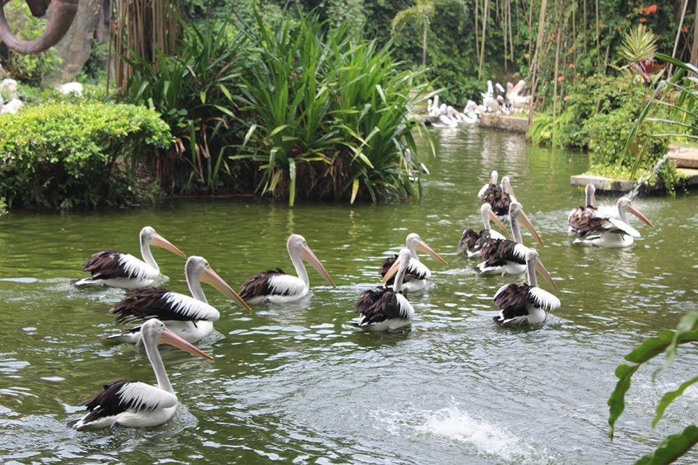 blog.joshuafavian.com