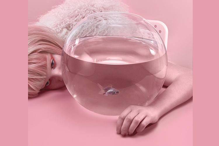 trendland.com