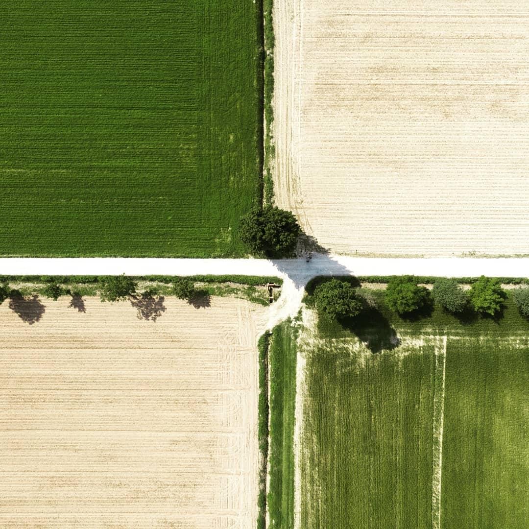 Instagram.com/Davix31