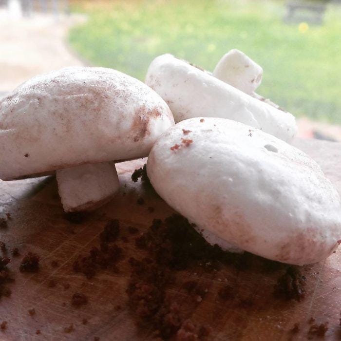 www.instagram.com/chefbenchurchill