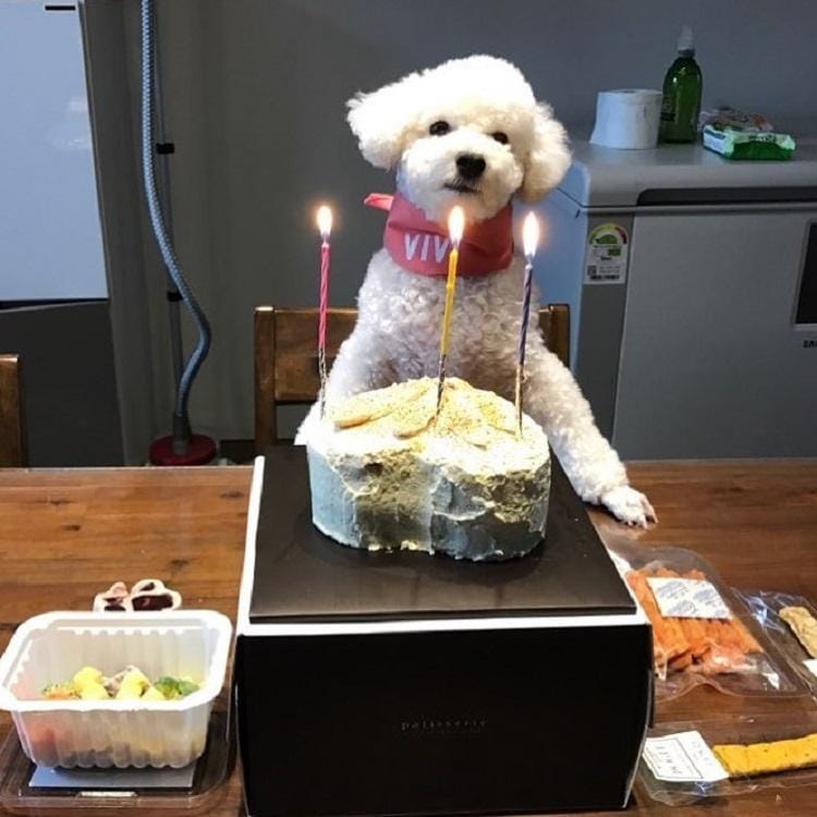 Instagram.com/oohsehun