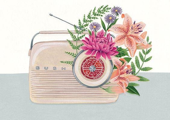 behance.net/project_modules