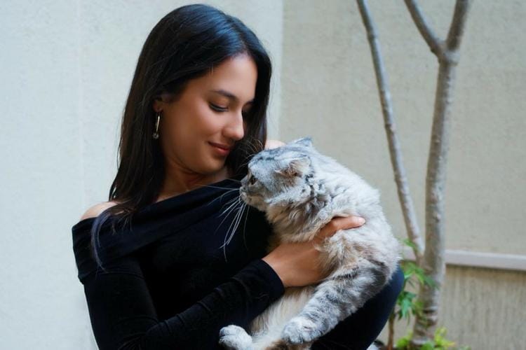 Instagram.com/@pevpearce