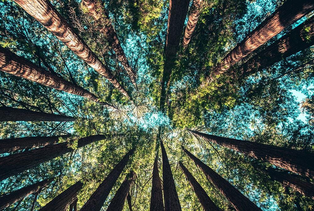 unsplash.com/Casey Horner