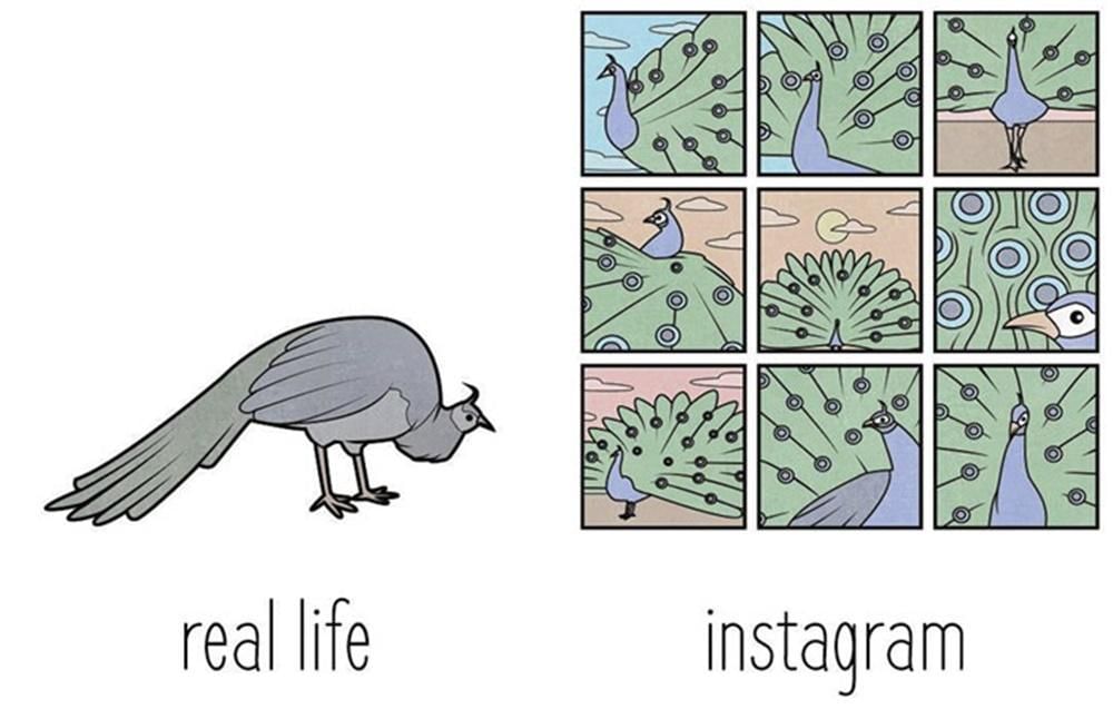 Facebook.com/gudimpublic