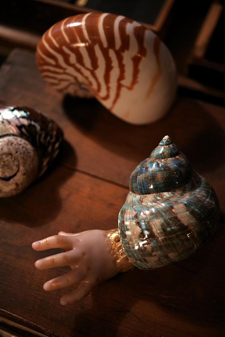 beautifulbizarre.net