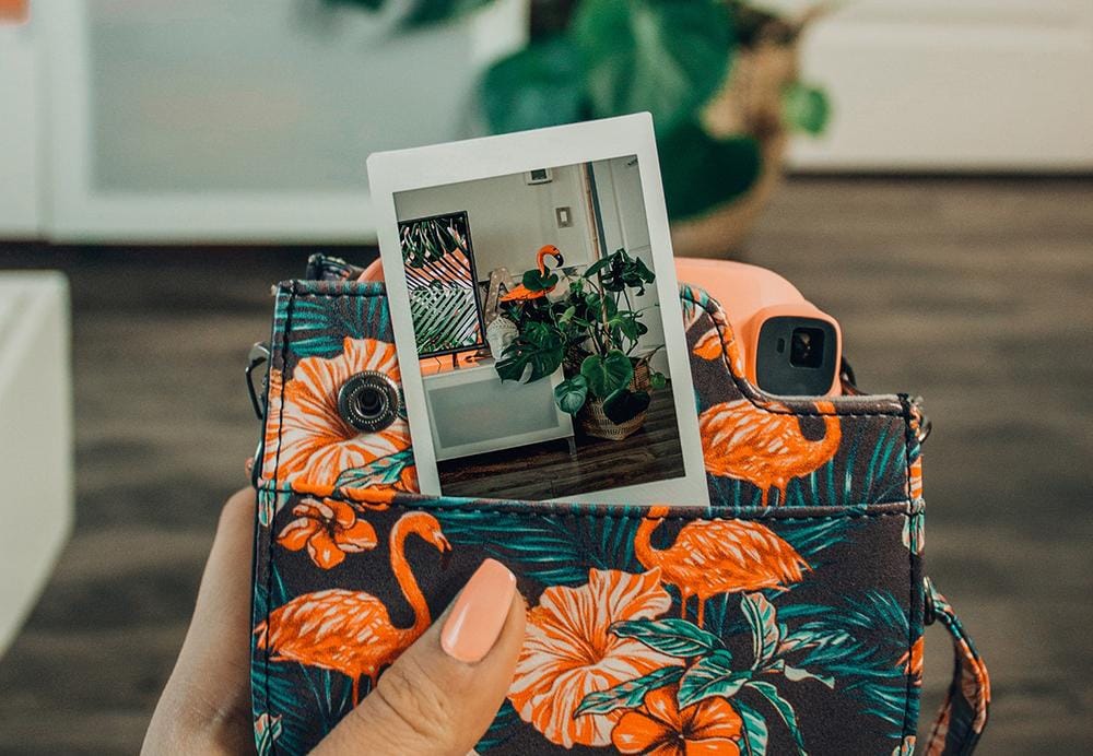 unsplash.com/DESIGNECOLOGIST