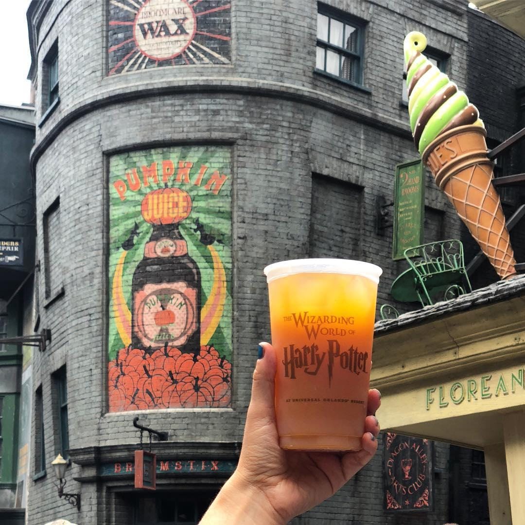 Instagram.com/protegofdn