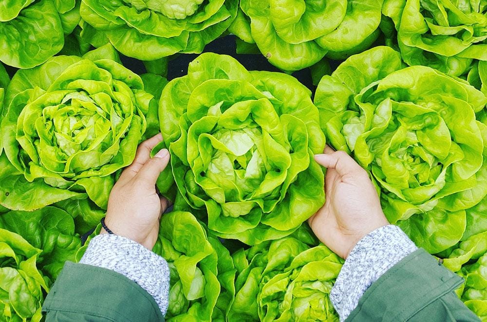 unsplash.com/PHÚC LONG