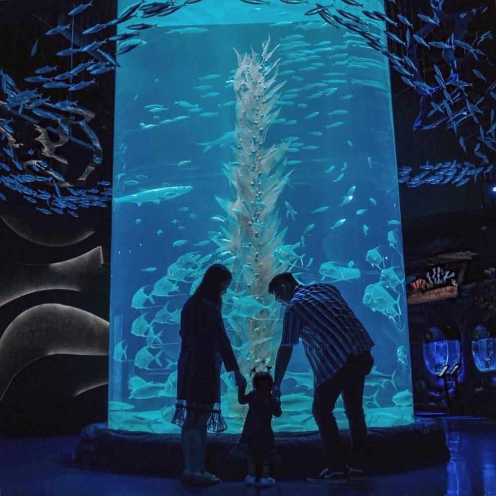 Instagram.com/jakartaaquarium