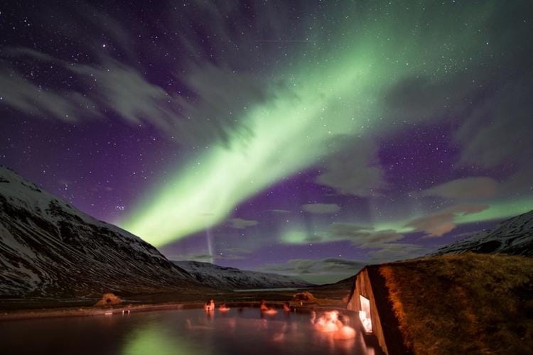 elevenexperience.com