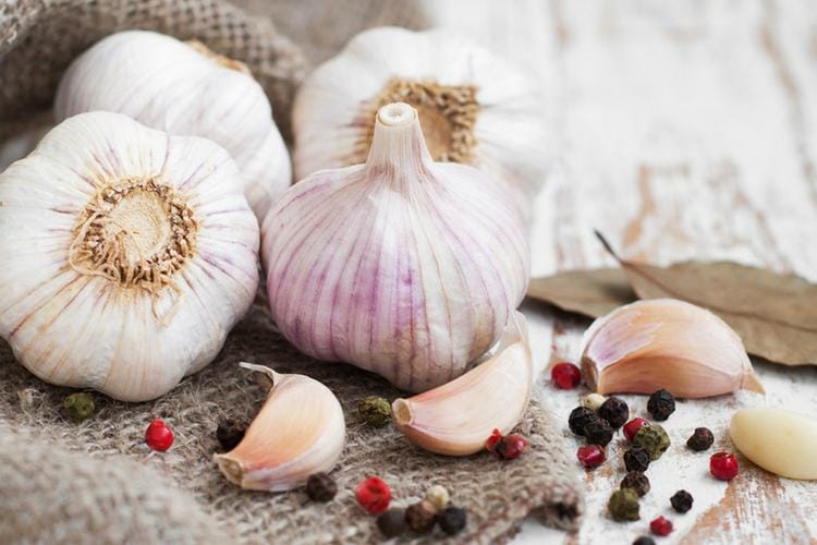 carpfarmersmarket.com