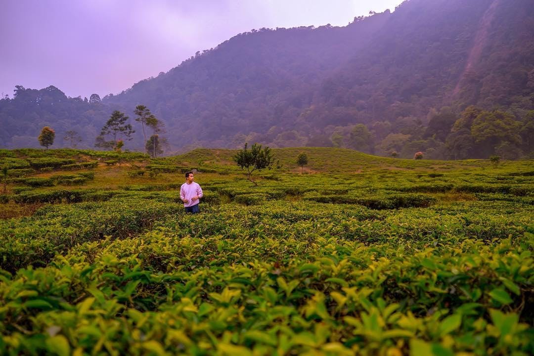 Instagram.com/radenrauf